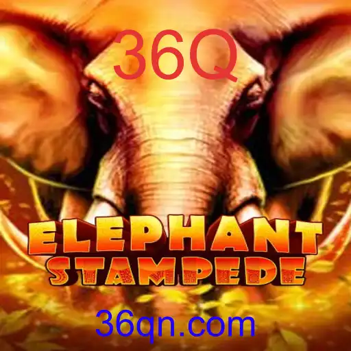 ElephantStampede